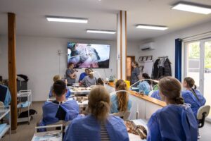 Chirurgie Seminar Dr. Strauß Coaching